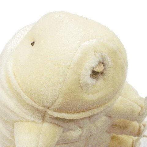 giant isopod plushie