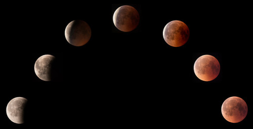 astronomyblog:Lunar eclipse 2019 Image credit: Dan Wery