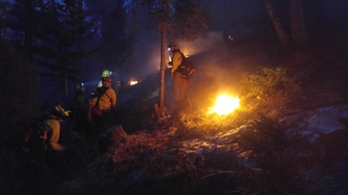 Wildland fire