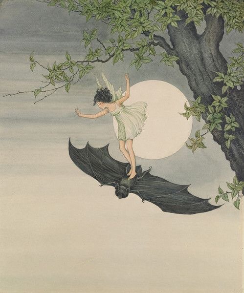 loveage-moondream:The Fairy on a bat by Ida Rentoul 1916