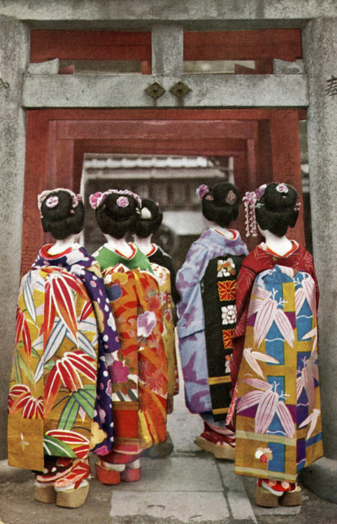 Flowers of Kyoto - Back 1930s (by Blue Ruin1)
“ The same five Maiko (Apprentice Geisha)from behind, including Maiko Hisafuku (on the left), Maiko Teru (wearing green) and Maiko Kohan (wearing black). The colours of their outfits have been altered...