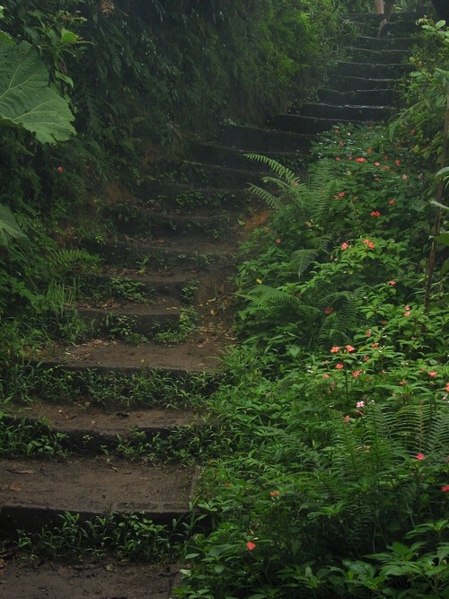 yellowrose543:Stairs - https://weheartit.com/entry/287786723