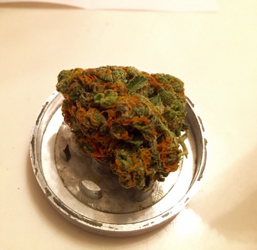 tokes-and-smokes:When your weed looks as good as it smells....