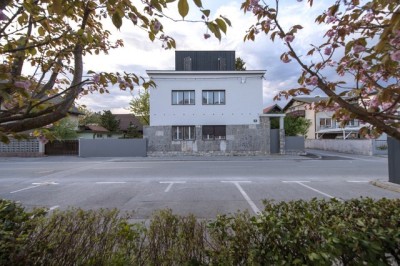 3Shoebox House / OFIS architectsph: Tomaz Gregoric