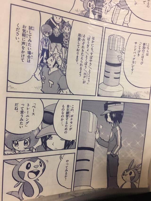 ポケモン Xy サンド バッグ 世界漫画の物語