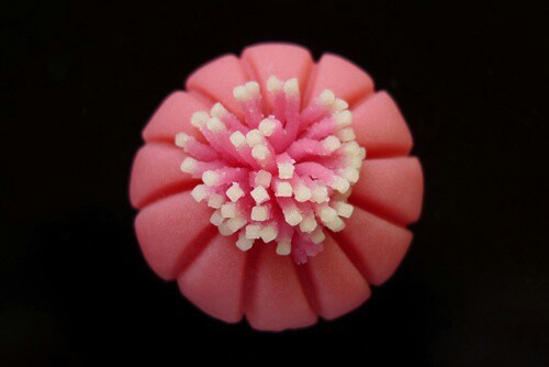 Pink wagashi