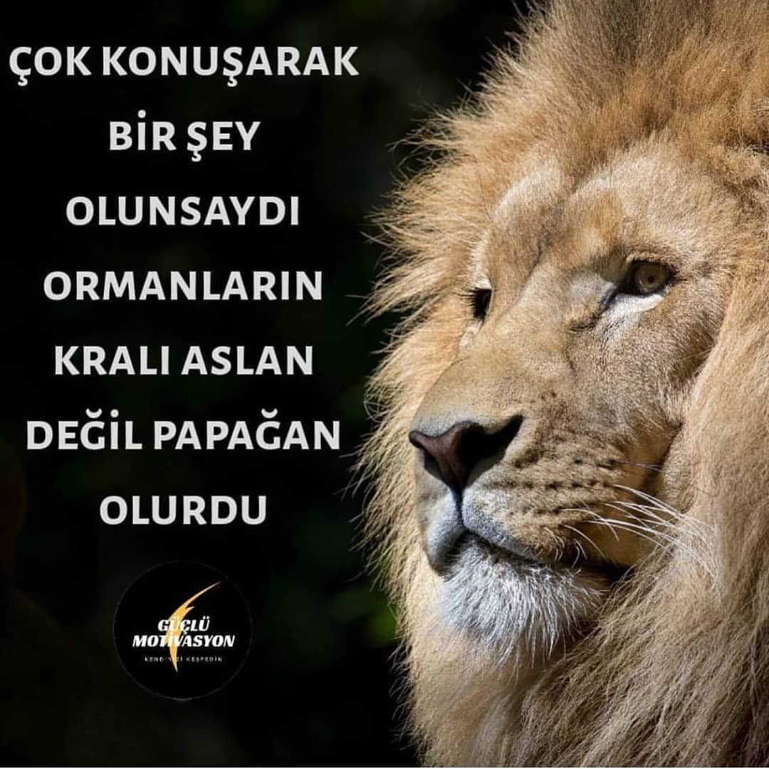 Aslan Sözleri – 🌍 Yaşanacak Dünya