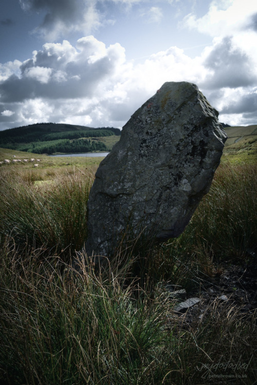 mydododied:Leaning stone