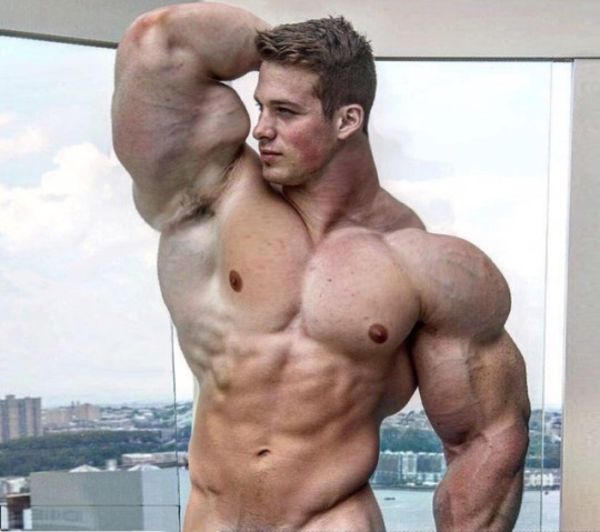 muscle gay porn tumblr