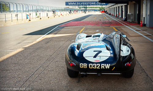 carpr0n:Starring: Jaguar D Type By Dave Rook