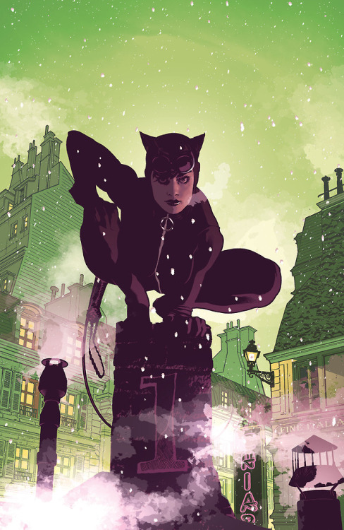 extraordinary-heroes:Catwoman Vol.3 (Cover art by Adam Hughes)