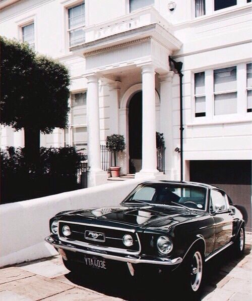 tgvqaz:norsis:The mighty Mustang(my Thanks to the:...