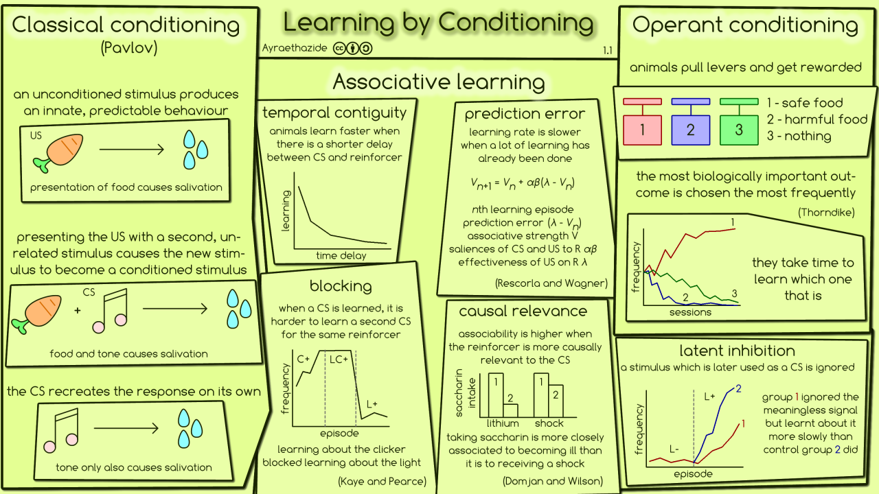 examined social learning with an emphasis on conditioning