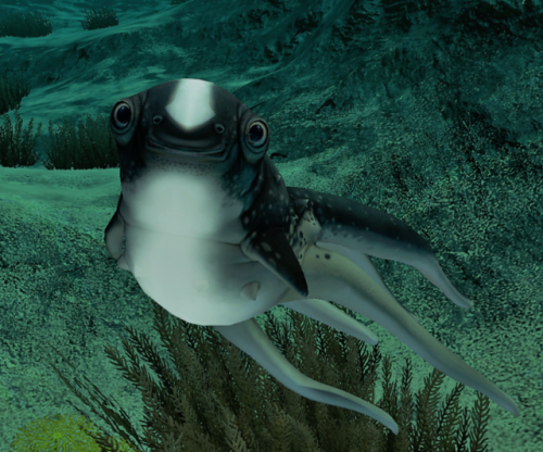 Cuddle fish subnautica