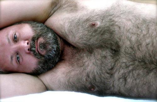 HAIRY BEARS AND SEXY MEN