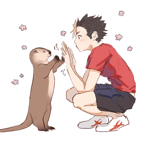 chellokoru:may i suggest to you: NISHINOYA + OTTER ?