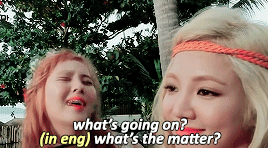 tumblr_pt7jyxeB2s1xvo7obo8_400.gif