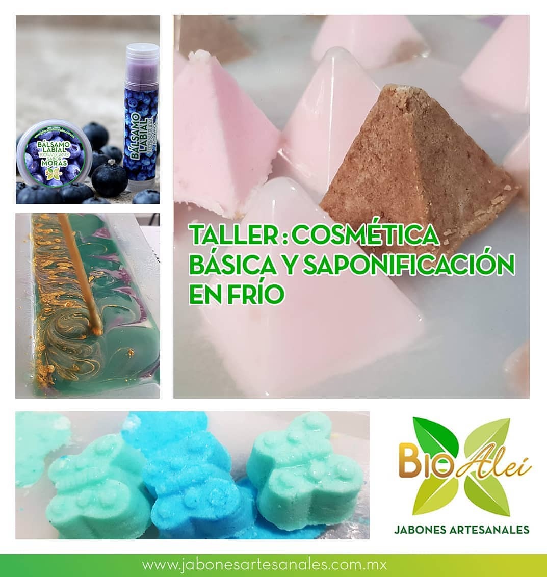 Jabones E Insumos Bioalei — Aprende Y Emprende Con Bioalei🍃 Curso De 2563