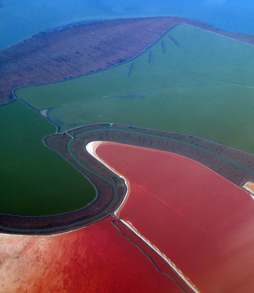 sixpenceee:Salt ponds in the San Francisco bay.