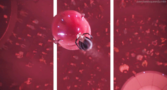overkill gif overkill gif