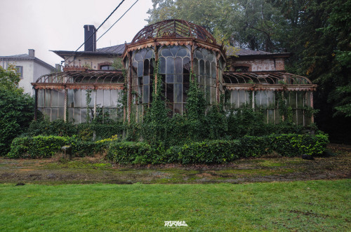 jinwansgf:sixpenceee:An overgrown greenhouse. This was taken...