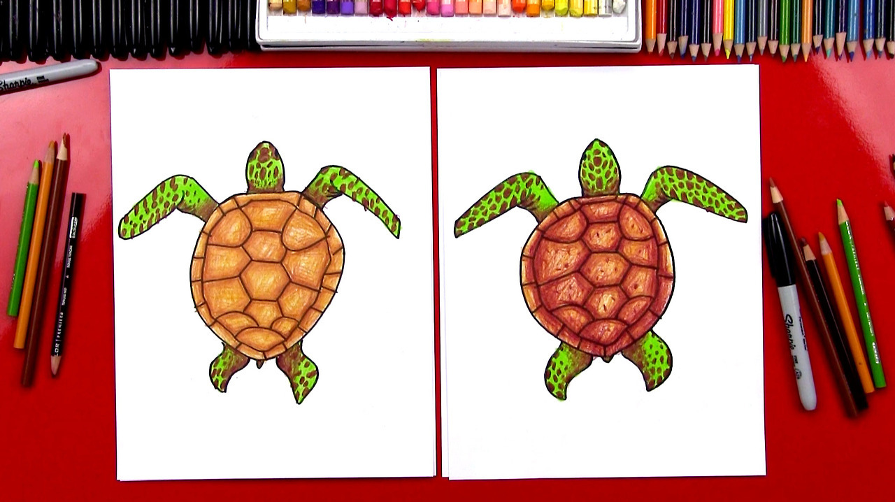 seaturtle drawing