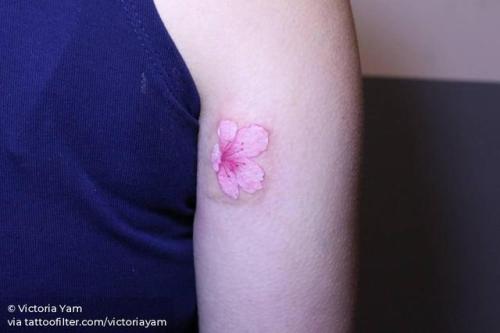 By Victoria Yam, done in Hong Kong. http://ttoo.co/p/29408 flower;cherry blossom;micro;spring;facebook;nature;twitter;victoriayam;shoulder;four season;illustrative
