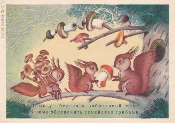 Little squirrels will help their mom / To stock enough mushrooms for the winter
Postcard by Syuzanna Byalkovskaya, 1956 (buy here)