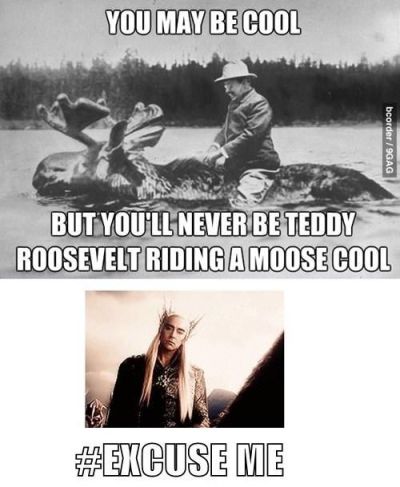 teddy roosevelt riding a moose cool