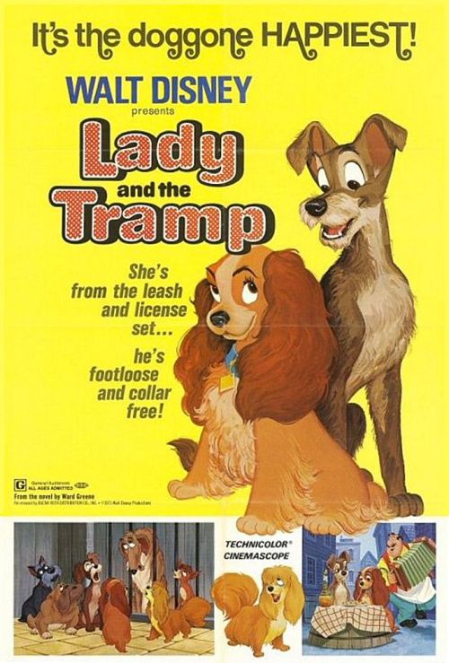 Siamese Cat Names Lady And The Tramp - British Shorthair