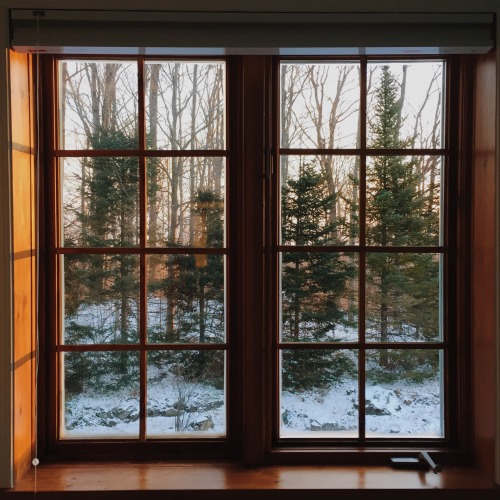 studyblr studyspo 100 days of productivity study set up chalet delthenerd