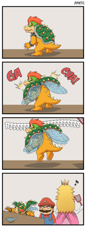 haniwahead:Bowser’s a beetle, not a turtle