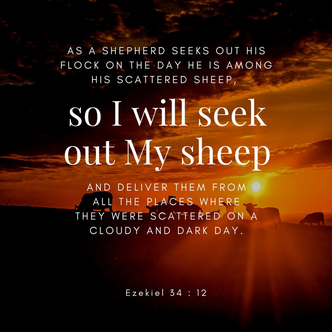 the-living-ezekiel-5-5-nkjv-thus-says-the-lord-god