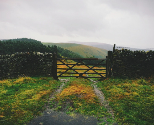 kateoplis:My everchanging Autumn, Daniel Casson