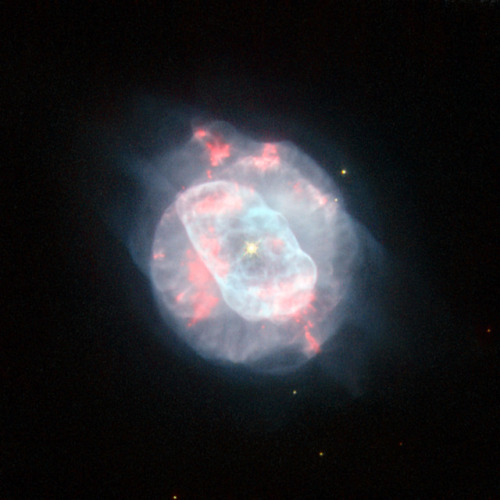 White Dwarf’s Shell