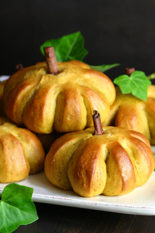 vegan-nation:• VEGAN HALLOWEEN RECIPES •               