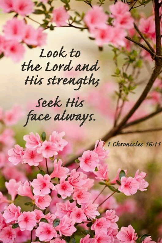 The Living 1 Chronicles 1611 Niv Look To The Lord