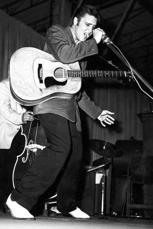 ELVIS PRESLEY - Elvis performing in Tampa, Fl. August 5, 1956.