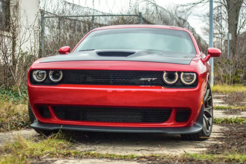 dodge:Monday muscle. (Photo credit: Joel M.)