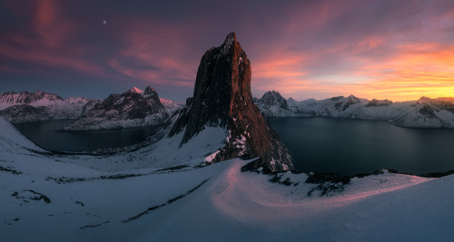 thingsdavidlikes