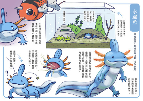 sicklizardman:My new pokemon doujinshi in Taiwan’s...