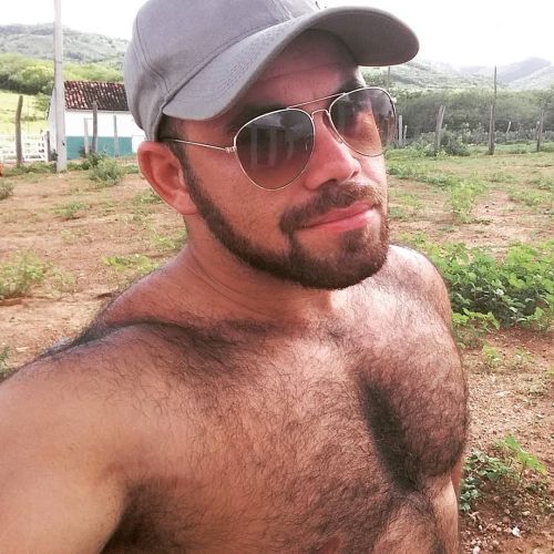 hairy chest - sexy muscle - mature men