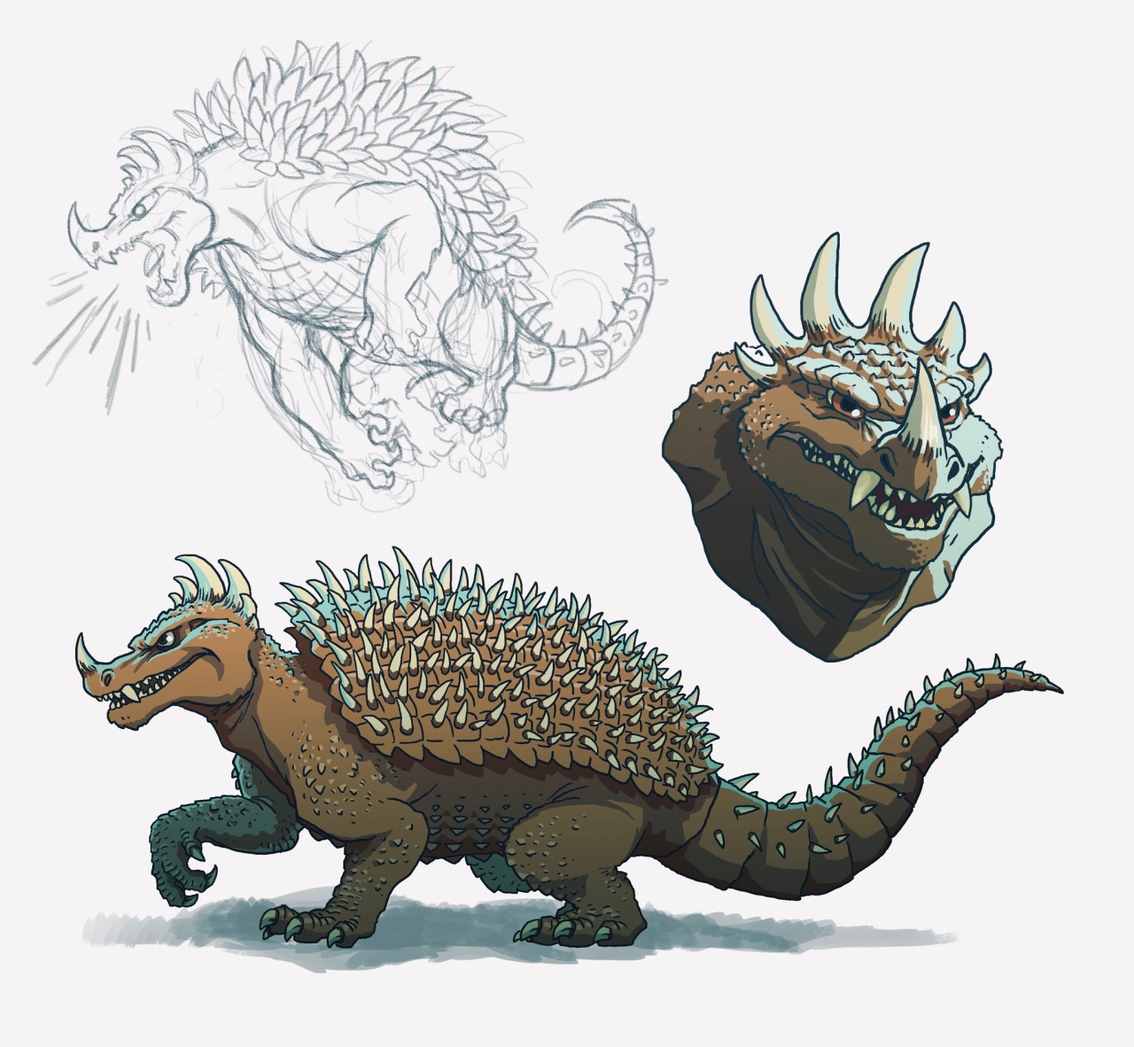 anguirus sp