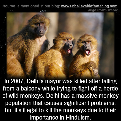 unbelievable-facts:In 2007, Delhi’s mayor was killed after...