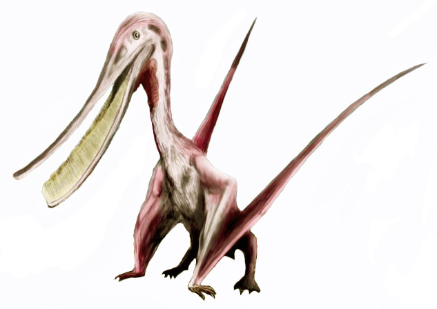 dino dana pterodaustro