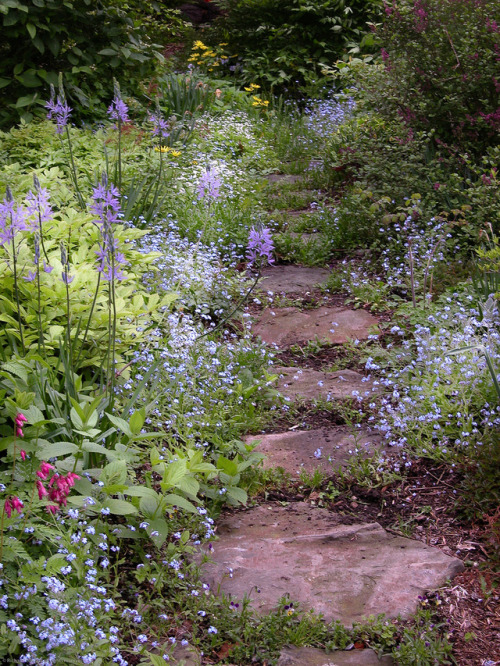 The Enchanted Cove - afaerytalelife: Flowery Stone Path, by Richard...