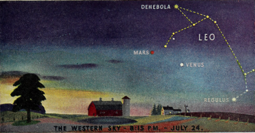 nemfrog:The Western Sky, 8:15 PM, July 10th and July...