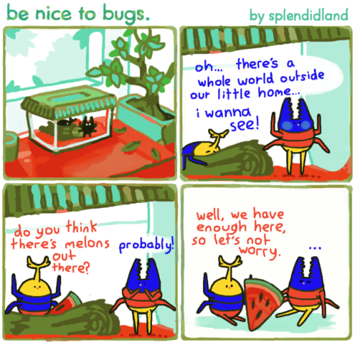 benicetobugs:001