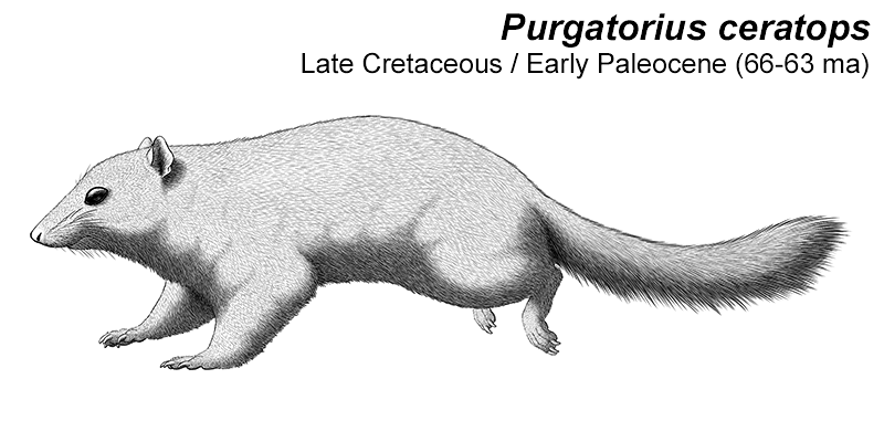 Month of Mesozoic Mammals #31: The Survivors... | Nix Draws Stuff