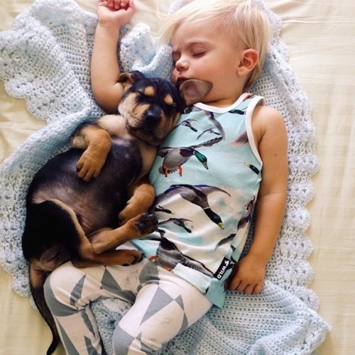 gaksdesigns:Toddler naps with his 2-month-old puppy every day....